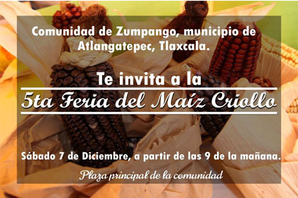 feria 7 dic